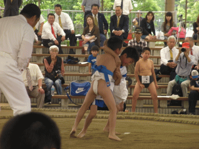 わんぱく相撲