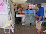 IMG_3784
