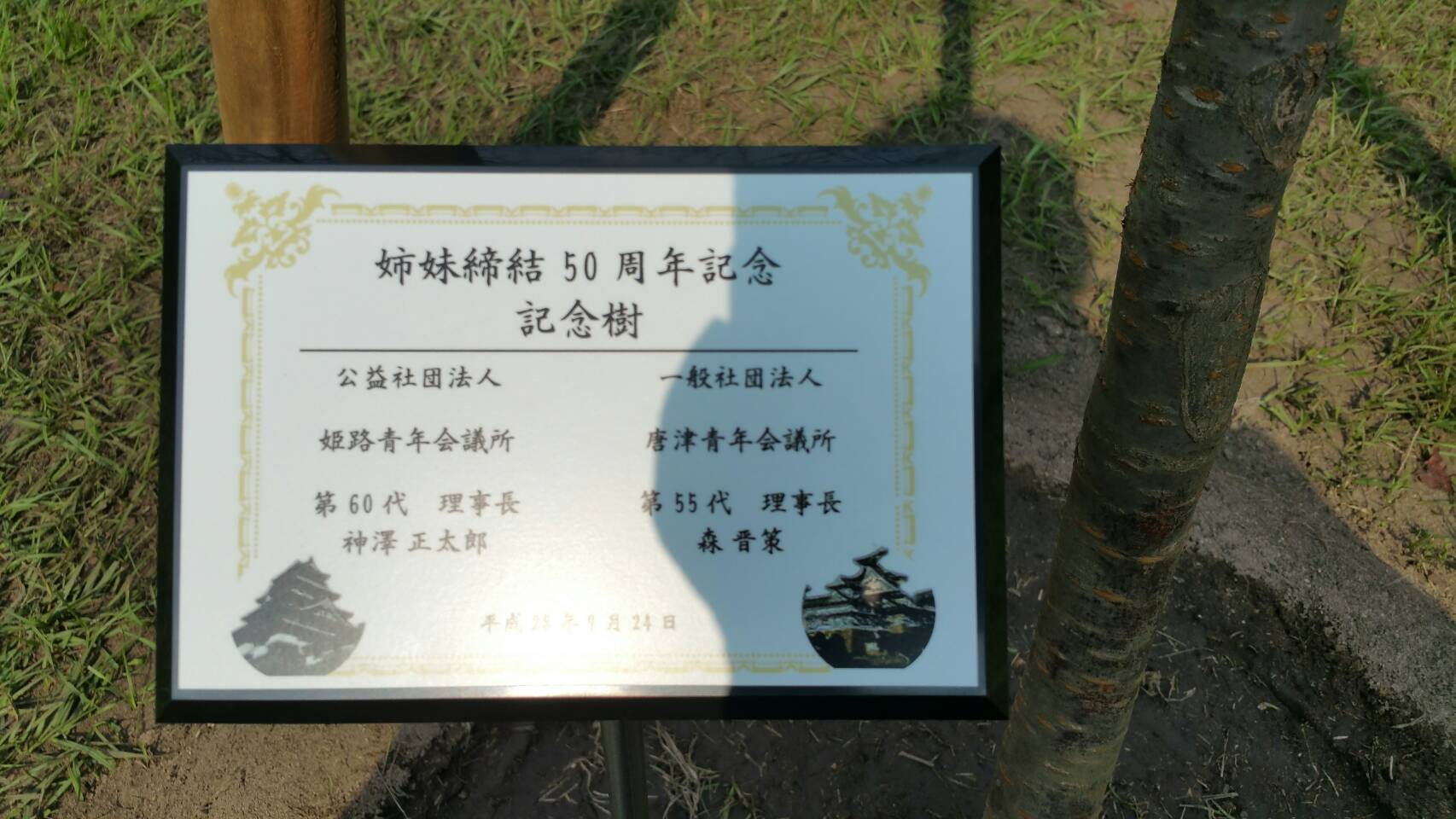 39202